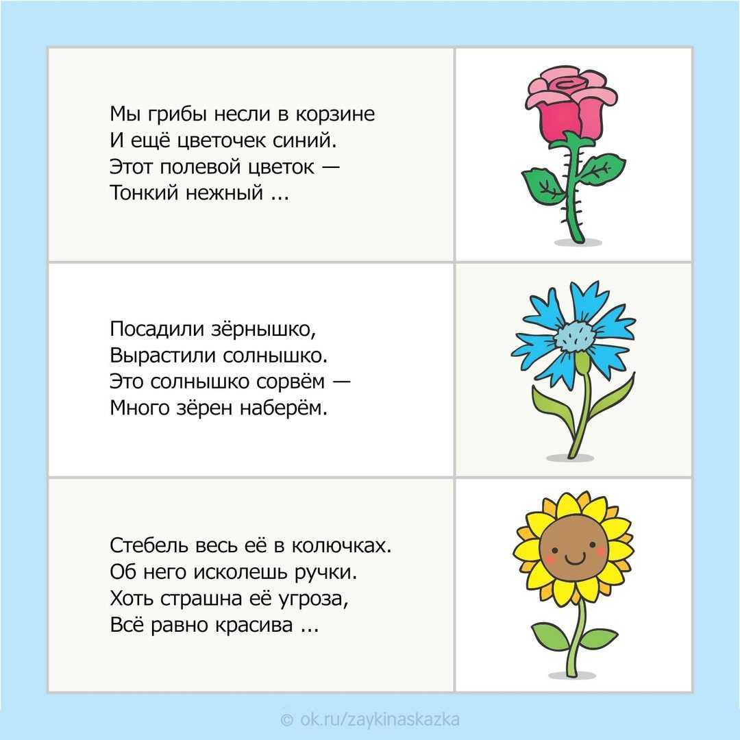 Загадки о садовых, полевых, луговых и комнатных цветах. загадки про цветы