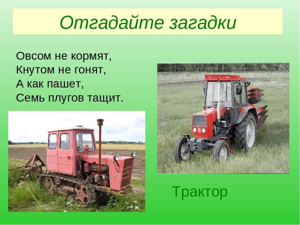 Загадки с ответами: 20000 лучших загадок в одном месте