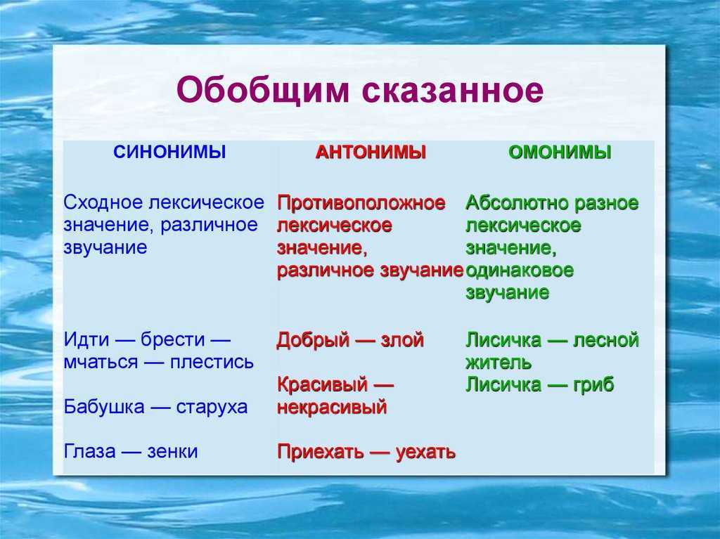 Точность речи: причины неясных выражений (синонимы, омонимы, паронимы), аспекты и критерий анализа в примерах