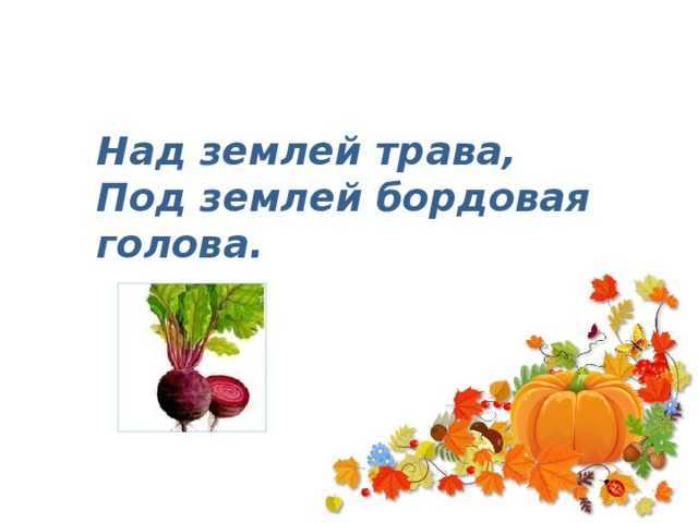 Загадки про овощи и фрукты для детей с ответами