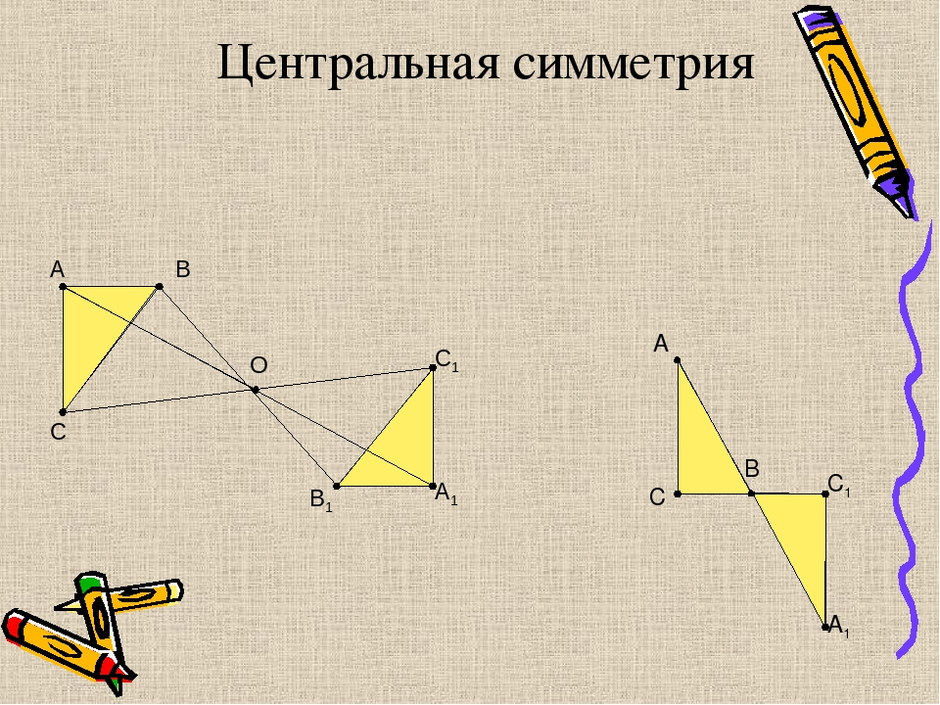 Wonder wild world : симметрия в природе