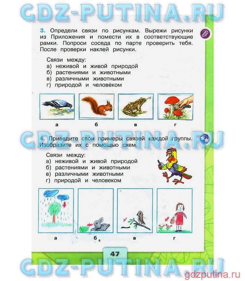 Правила поведения на природе – памятка как вести себя человеку, что нужно соблюдать для детей кратко (3 класс, окружающий мир)