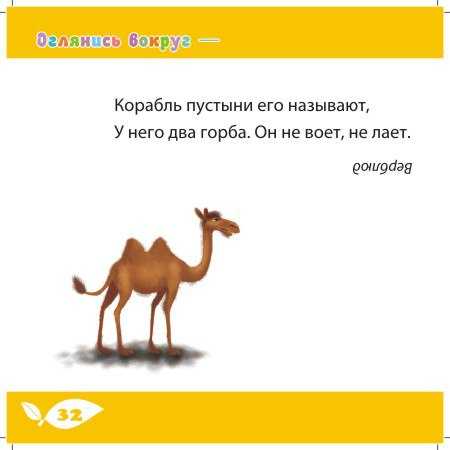Загадка про верблюда в стихах с ответами для детей
