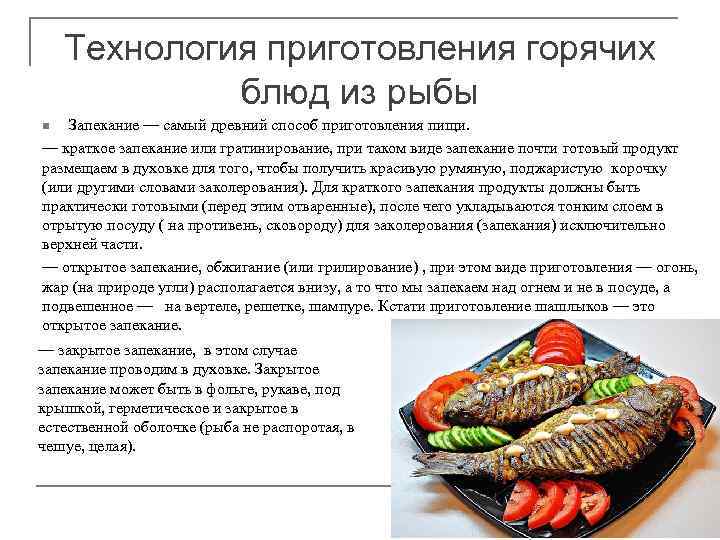 Первичная обработка и способы разделки рыбы