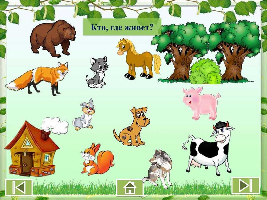 Про диких животных для детей + карточки мнемотаблицы кто где живет и чем питается