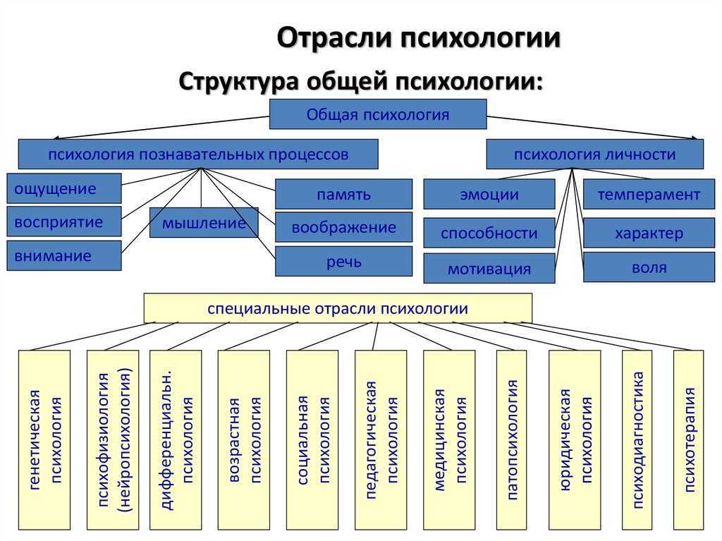 Урок 1. общая психология