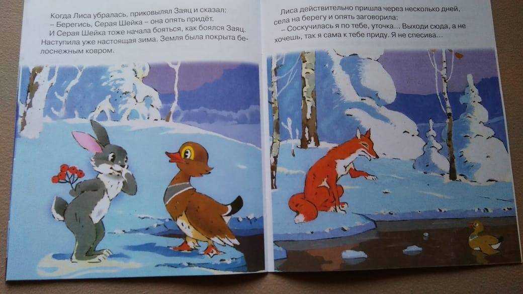 Серая шейка