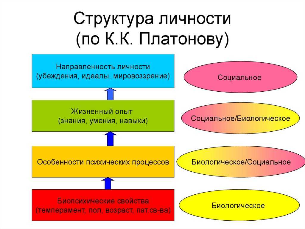 С. л. рубинштейн. теоретические вопросы психологии и проблема личности