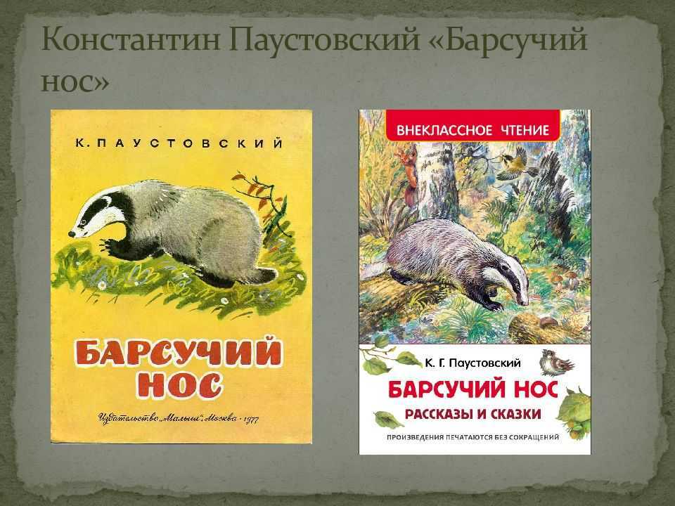 Паустовский «барсучий нос» читать текст полностью онлайн