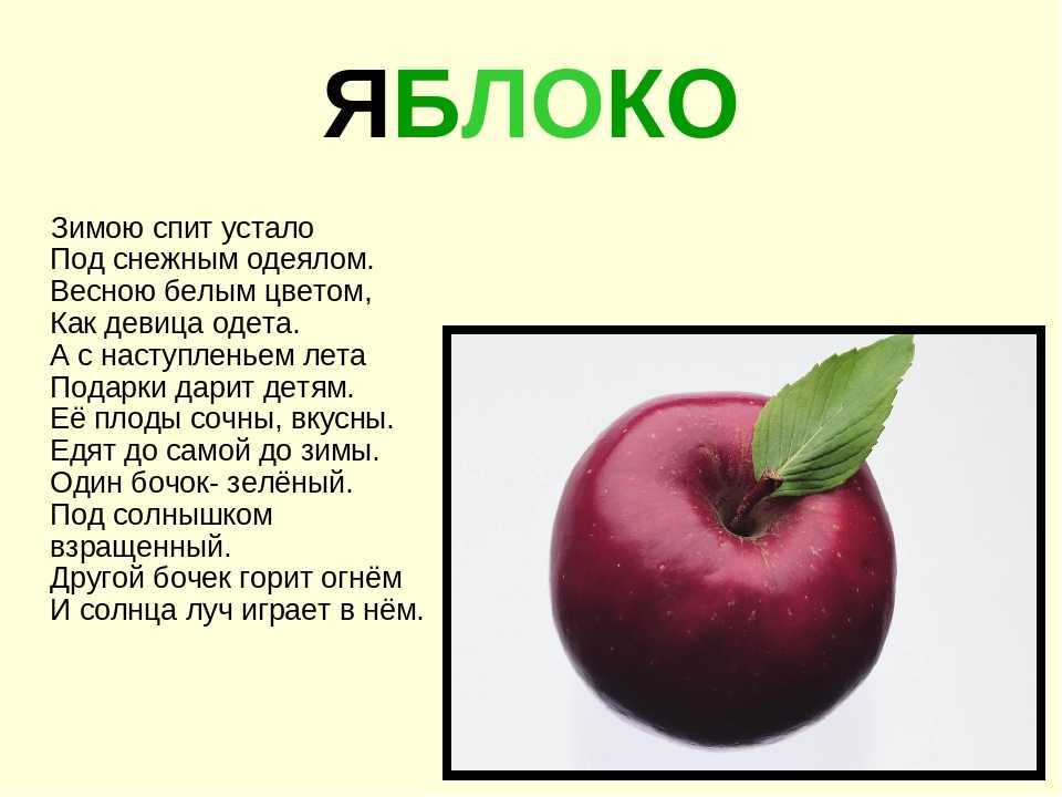 Круглое, румяное с дерева достану я. загадки про яблоко для детей