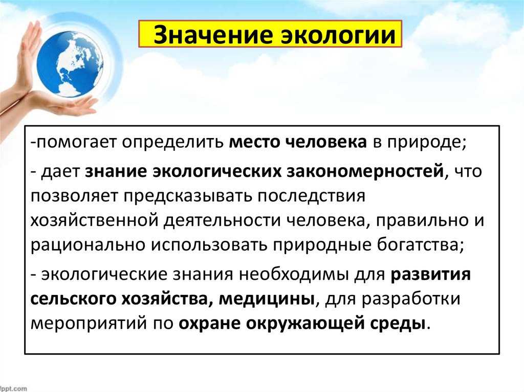 Влияние человека на окружающую среду – отрицательное и положительно воздействие деятельности человека кратко для доклада