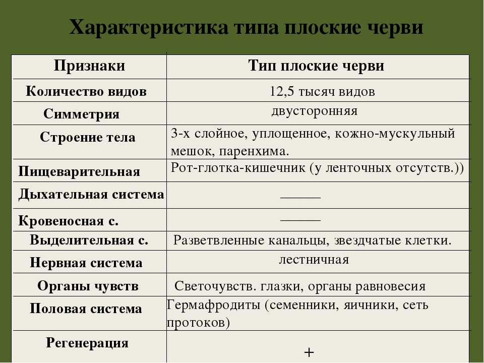 Многообразие паразитических червей, их приспособленность к жизни в организме хозяина