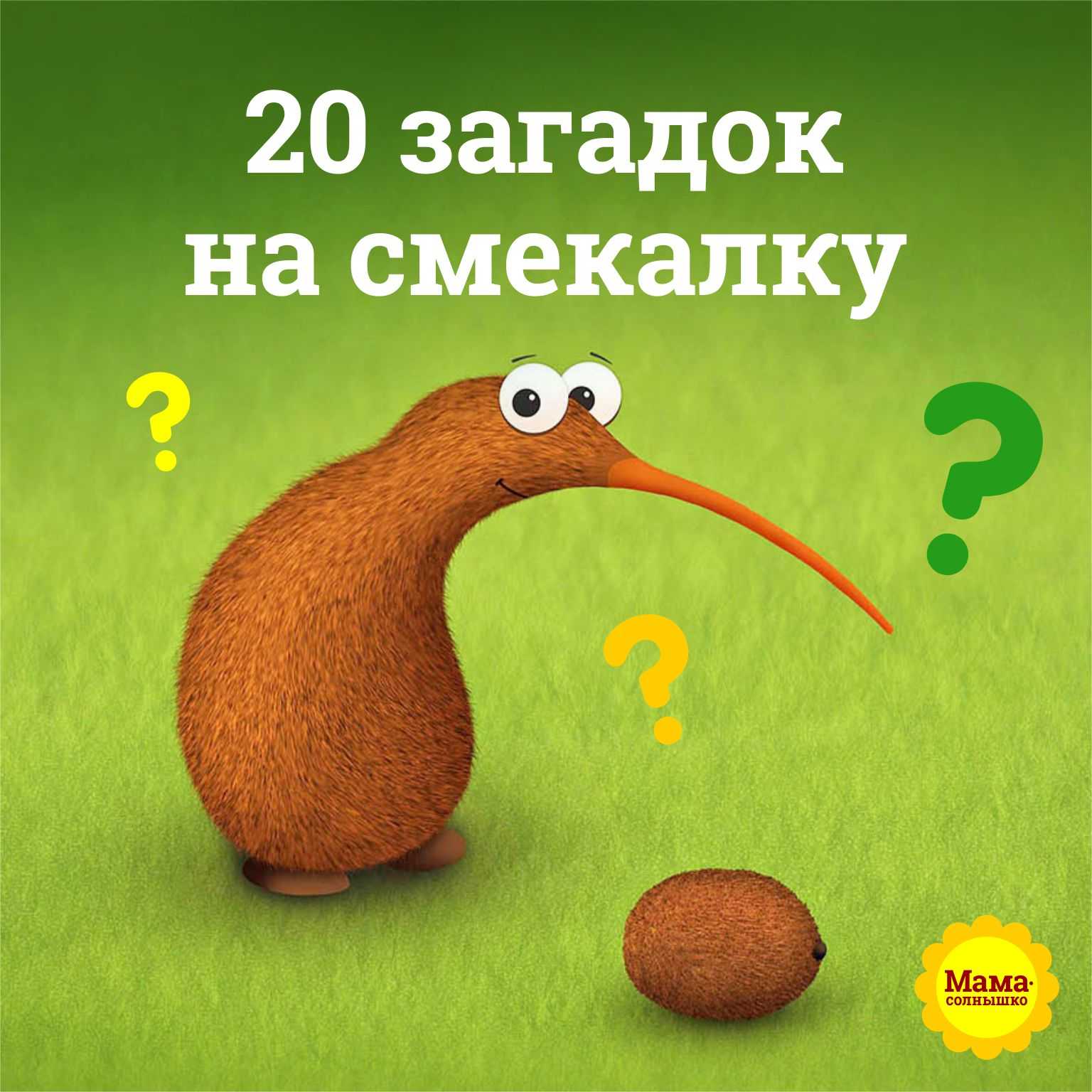 200 интересных загадок на смекалку с ответами Смекалка — правильное принятия решений и быстрое реагирования на данные ситуации Смекалкой мы пользуемся всегда и везде на работе, в магазинах, в транспорте, в школах, в садике