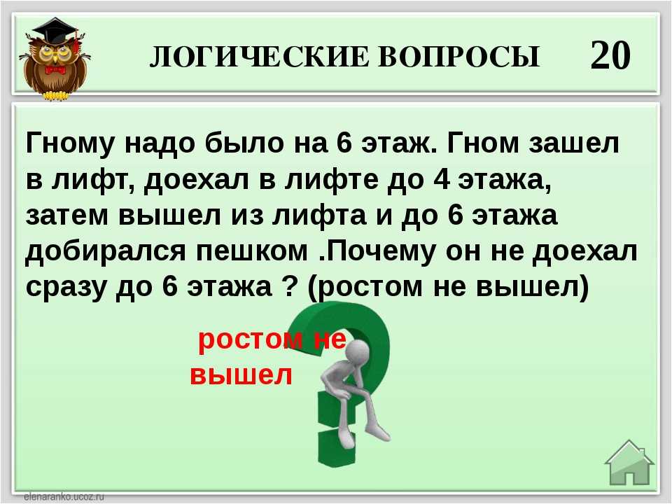 Загадка на английском языке про утконоса - узнавалка.про