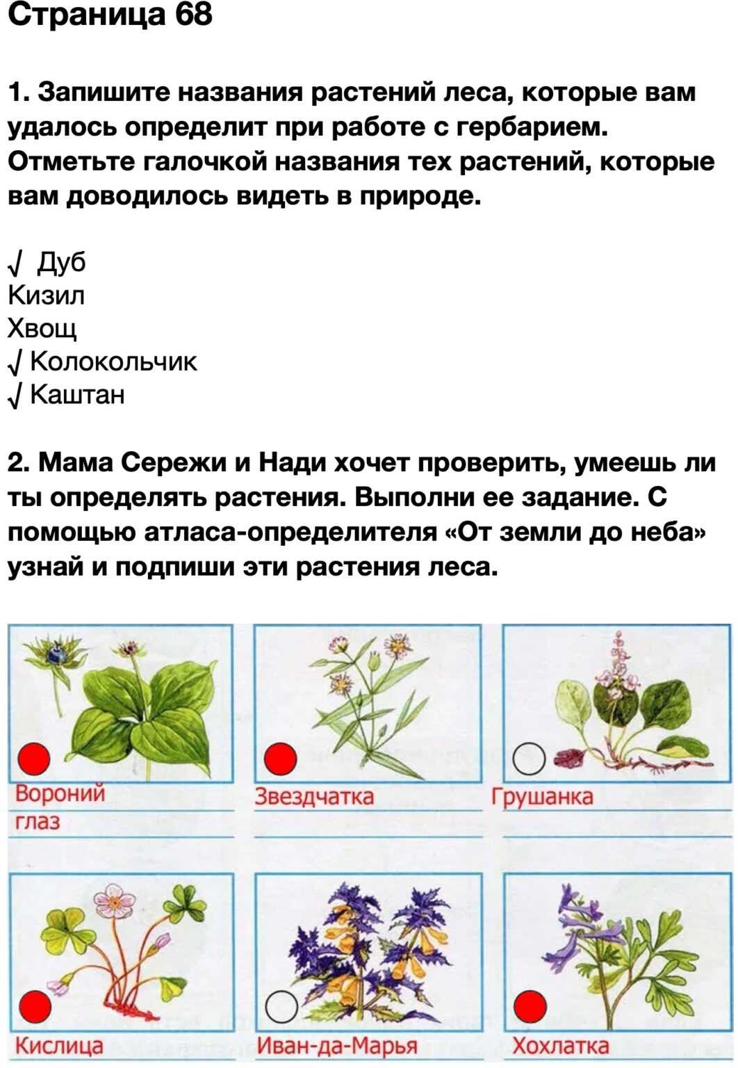 Река ока на карте от истока до устья куда впадает
