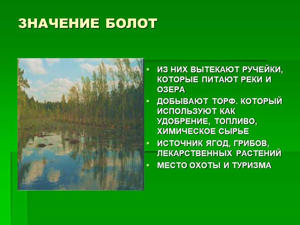 Презентация на тему: "значение и рациональное использование болот составитель большаков с. в.". скачать бесплатно и без регистрации.