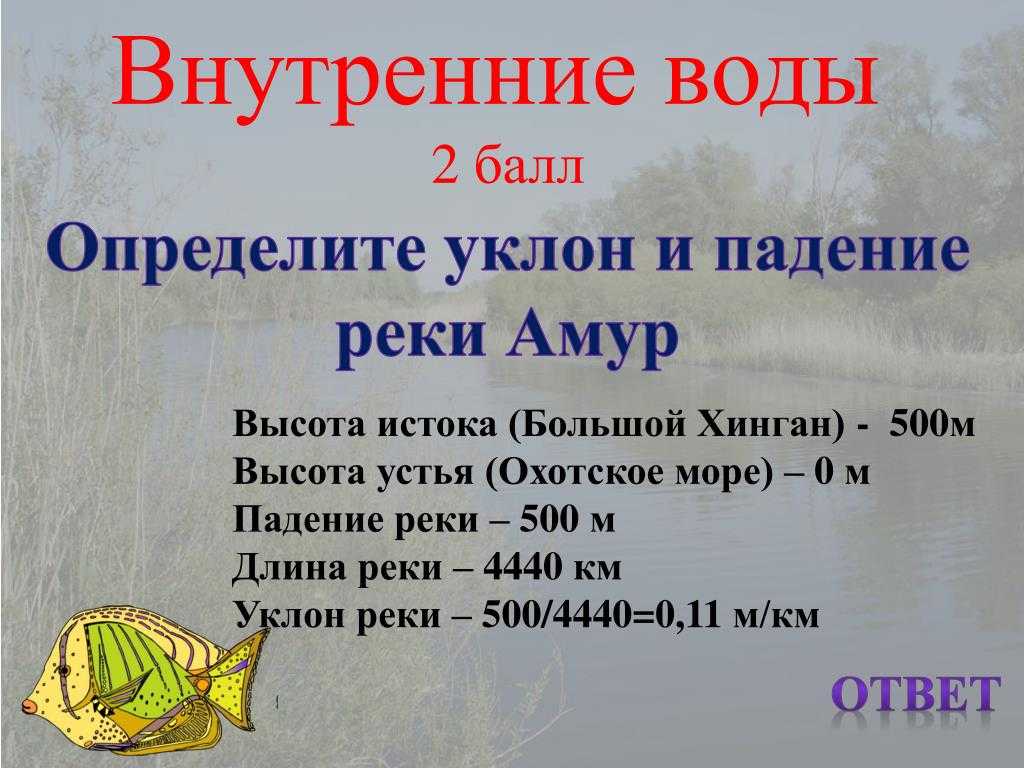 Презентация на тему "живи века - амур река" по географии для 8 класса