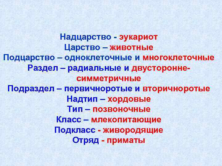 Эукариоты – что такое в биологии, определение, характеристики, классификация и примеры кратко (10 класс)