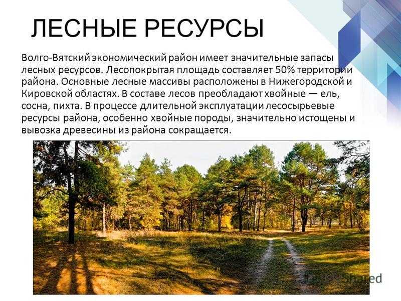 География: волго-вятский экономический район