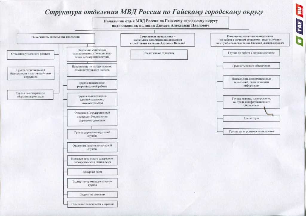 Понятие и структурное построение полиции. структурное построение полиции - отчет по практике