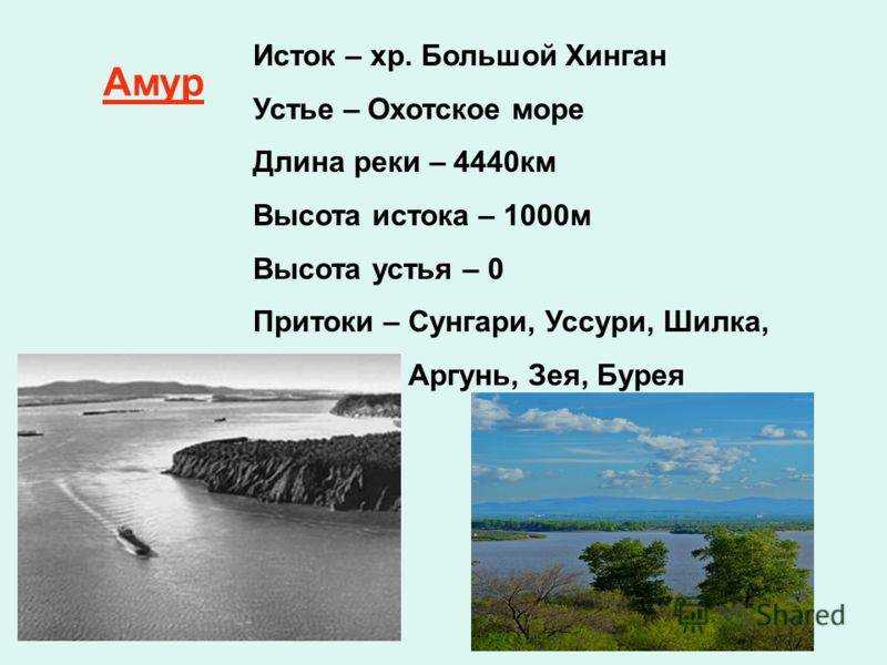 Река амур - описание, общая характеристика и использование
