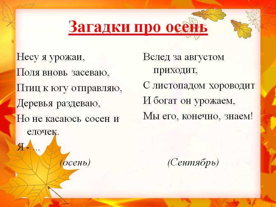 Интересные загадки про осень для детей с ответами. топ – 100 лучших осенних загадок