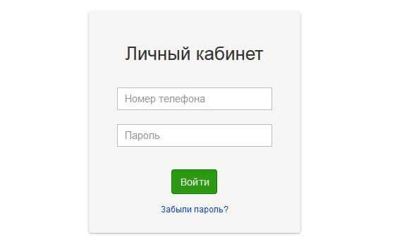 Личный кабинет в ладошки дети: регистрация, как войти и пополнить счет