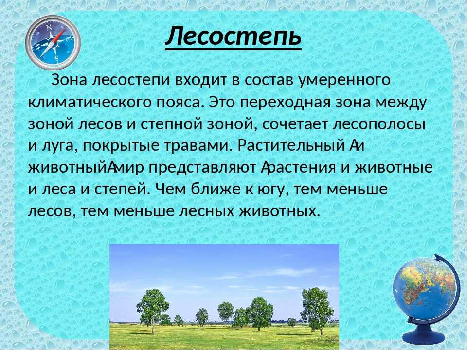 Окружающий мир