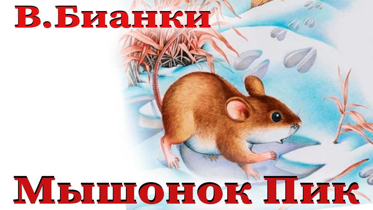 Мышонок пик — бианки в.в. | детям о животных | некоммерческий учебно-познавательный интернет-портал зоогалактика
