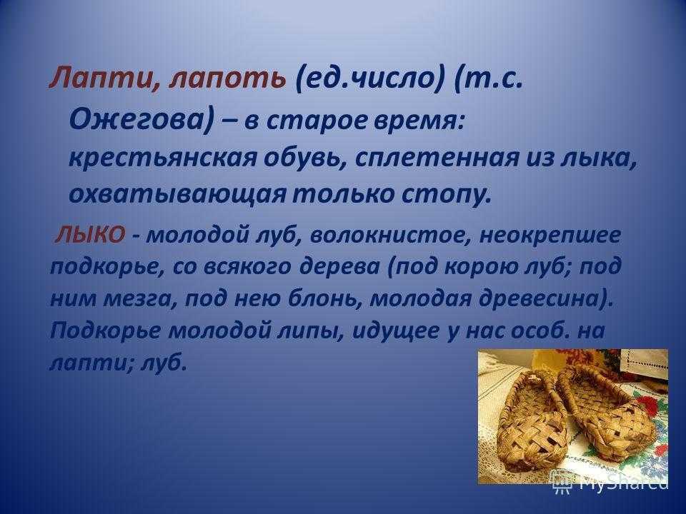 О чём заставляет задуматься рассказ лапти бунина 7 класс