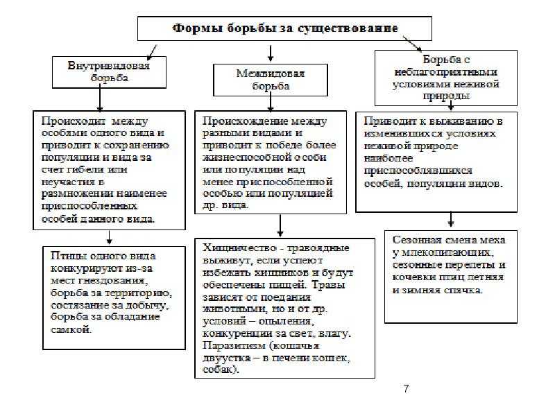 Что такое борьба за существование простыми словами | экология