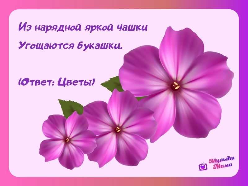 Загадки про цветы для детей