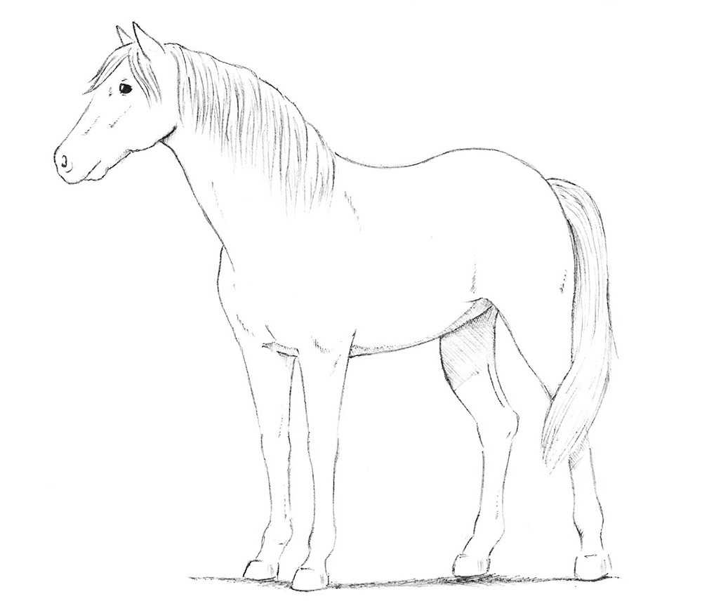 Как нарисовать лошадь с детьми от 3 до 12 лет
