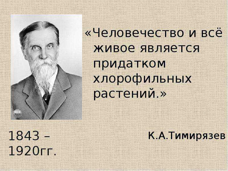 Роль зеленых растений в природе: смысл термина «космическая при» для к.а. тимирязева