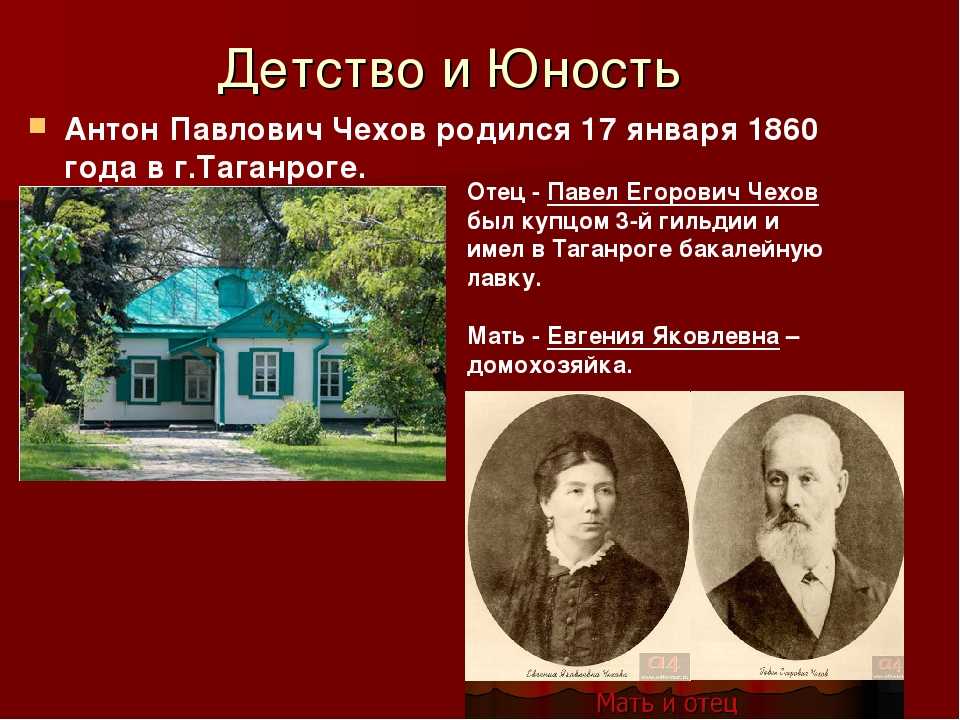 Краткая биография чехова самое главное
