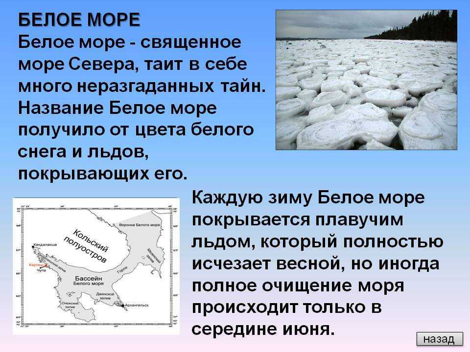 Доклад белое море 3, 4, 8 класс сообщение
