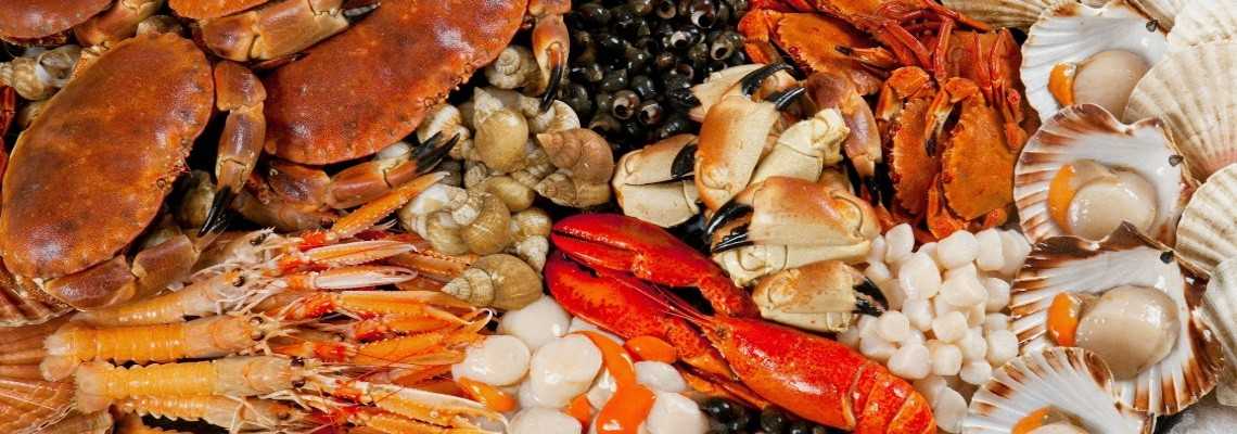 Механическая кулинарная обработка морепродуктов кратко