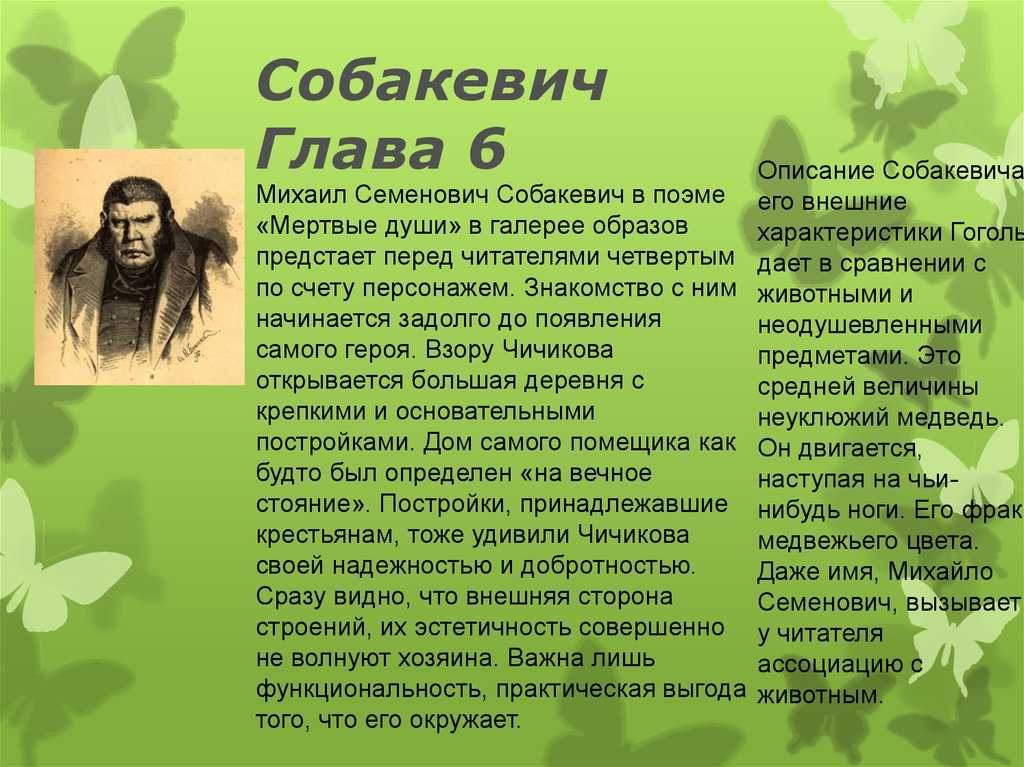 Образ помещика из «мертвых душ»: собакевич