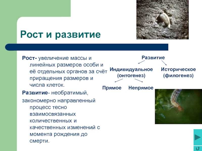 Особенности роста и развития растений