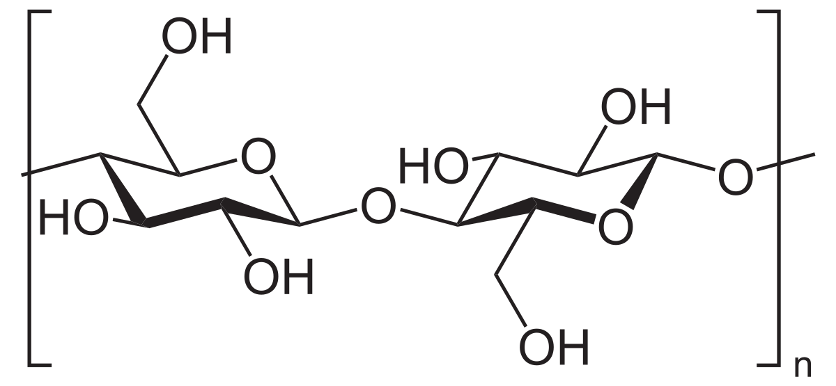 § 44. целлюлоза