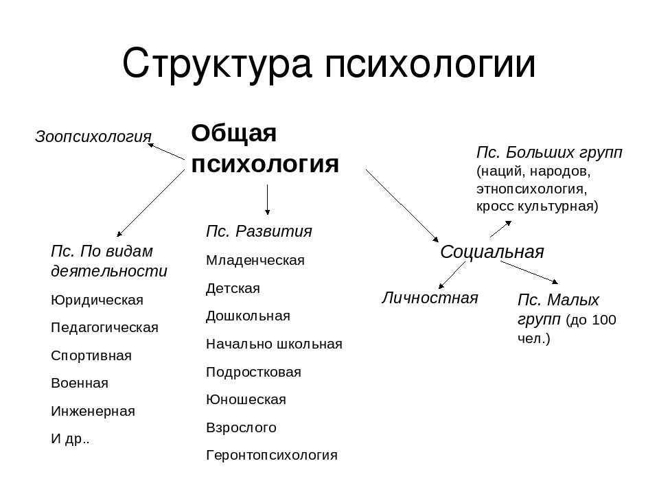 Место психологии в системе наук. место психологии в системе современных наук | психология отношений