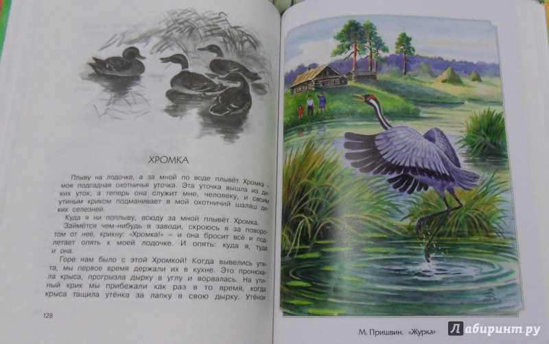 Краткое содержание рассказа «журка» для читательского дневника (+ отзыв) | литрекон