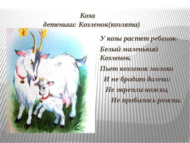 Старинная задача