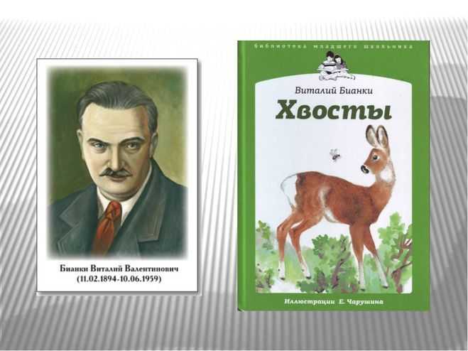 Анализ сказки хвосты бианки