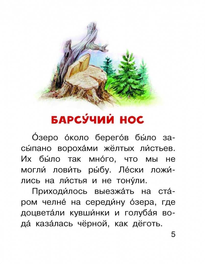 Краткое содержание паустовский барсучий нос для читательского дневника, читать краткий пересказ онлайн