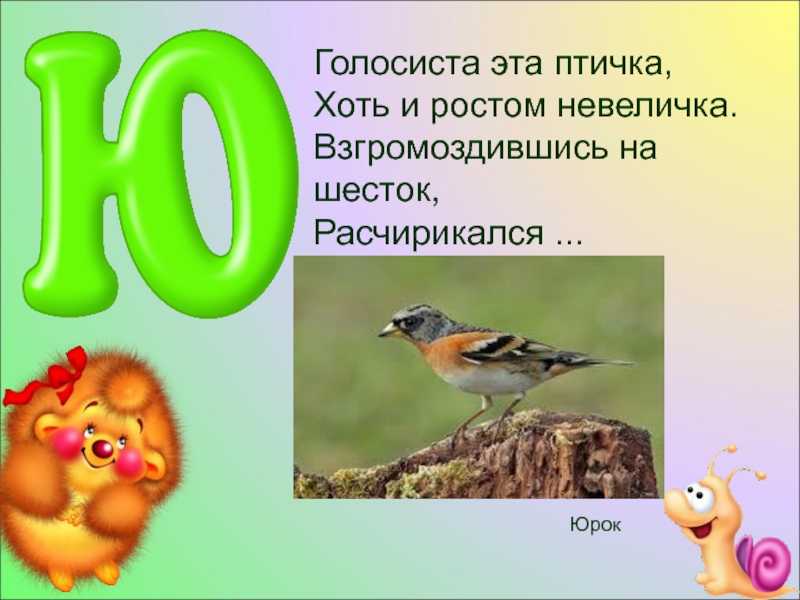 Буквенные головоломки для 3-4 класса с ответами