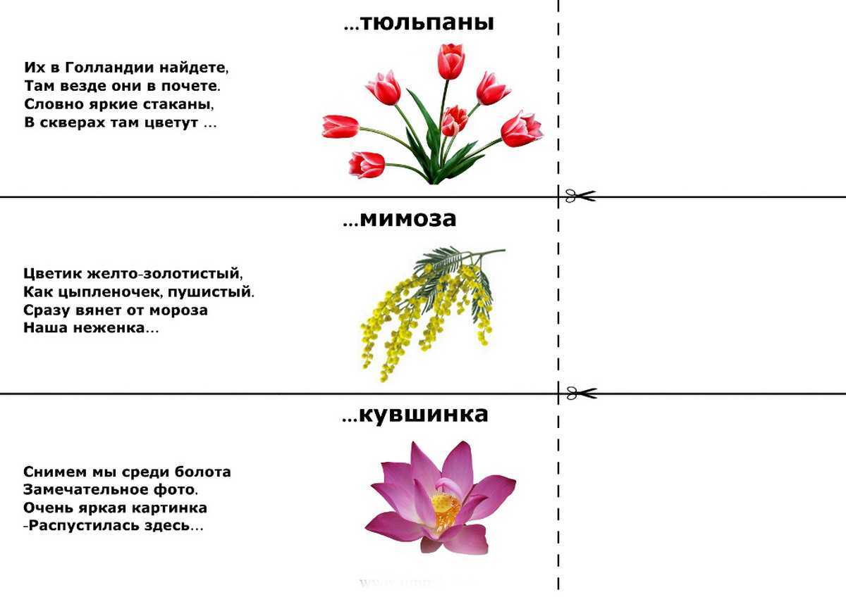 Я за посевами слежу как здесь овес растет гляжу отгадка