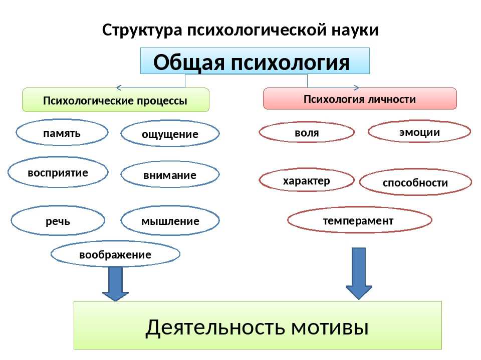 Связь психологии с другими науками
