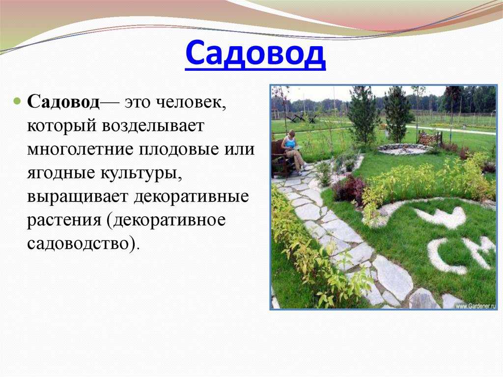 Чем профессия садовник полезна обществу