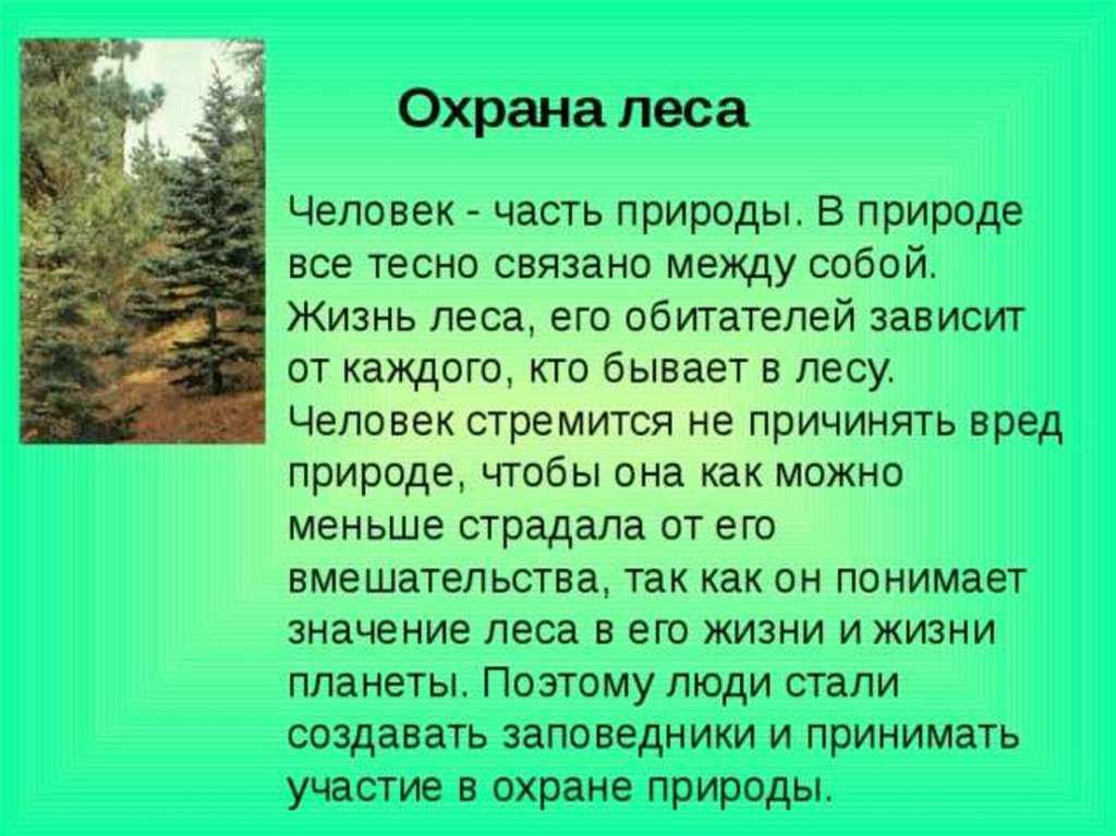 Сочинение "природа родного края" краснодарский край